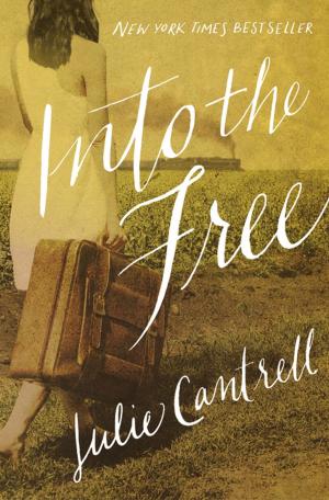 Cover of the book Into the Free by Susie Shellenberger