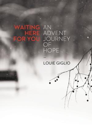 Cover of the book Waiting Here for You by Stephen Arterburn