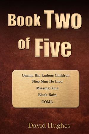 Cover of the book Book Two of Five by Dolan Cummings