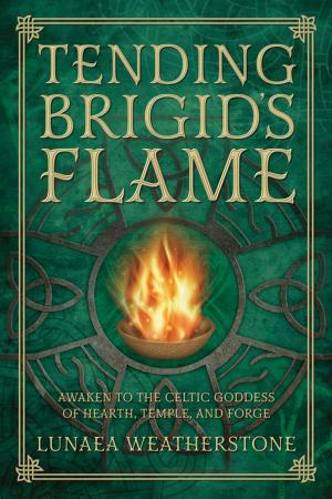 Cover of the book Tending Brigid's Flame by Damien Ba'al