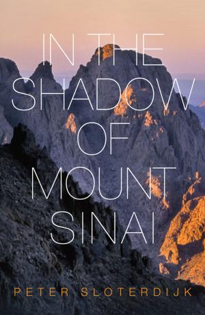 Cover of the book In The Shadow of Mount Sinai by Jürgen Buchenau