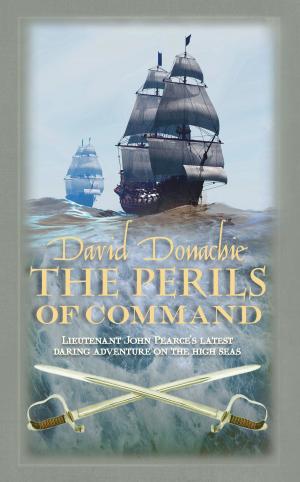 Book cover of The Perils of Command