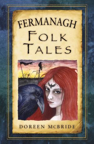 Cover of the book Fermanagh Folk Tales by David Vaughan