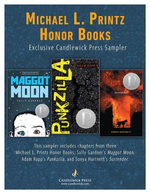 Cover of the book Michael L. Printz Sampler: Exclusive Candlewick Press Sampler by Martin Jenkins