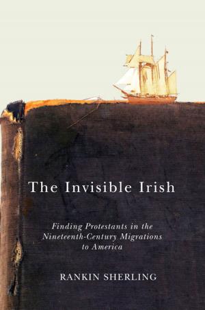 Cover of the book The Invisible Irish by Jeff Noonan