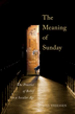 Cover of the book The Meaning of Sunday by 