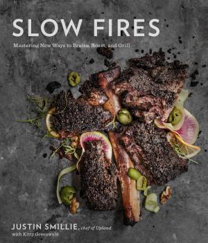 Cover of the book Slow Fires by Scott Fisher