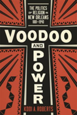 Cover of the book Voodoo and Power by Peter B. Dedek