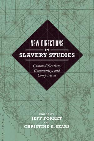 Book cover of New Directions in Slavery Studies