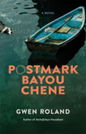 Cover of the book Postmark Bayou Chene by Jonathan Thirkield
