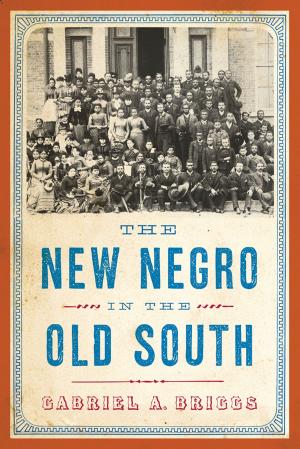 Cover of the book The New Negro in the Old South by Daniel Boyarin
