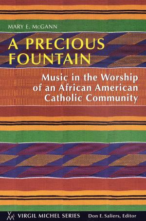 Cover of the book A Precious Fountain by Craig E. Morrison OCarm