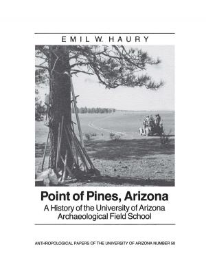 Cover of the book Point of Pines by Bernard L. Fontana