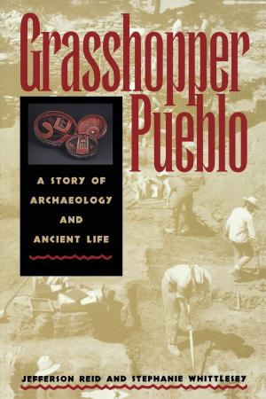 Book cover of Grasshopper Pueblo