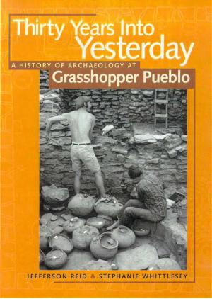 Book cover of Thirty Years Into Yesterday
