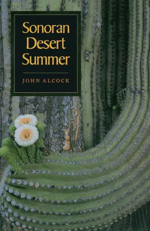 Book cover of Sonoran Desert Summer