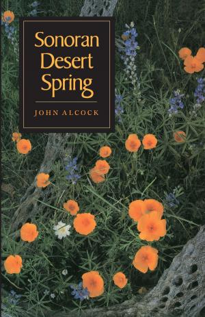 Cover of the book Sonoran Desert Spring by Stuart A. Day