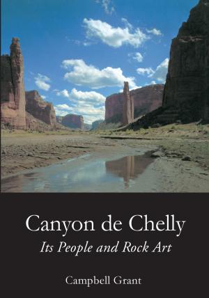 Book cover of Canyon de Chelly