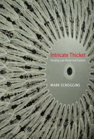 Cover of the book Intricate Thicket by Lila Quintero Weaver
