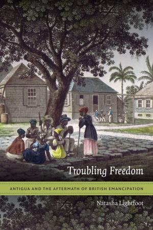 Cover of the book Troubling Freedom by Lyman L. Johnson