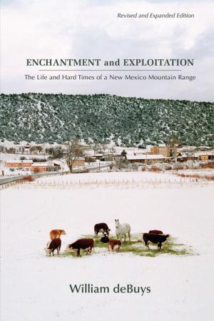Cover of the book Enchantment and Exploitation by Francisco Lomelí, A. Gabriel Meléndez