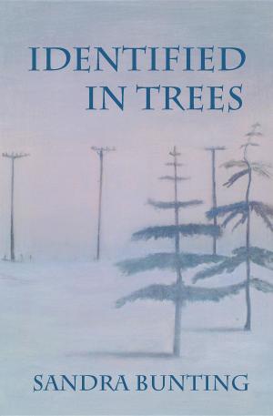 Cover of the book Identified In Trees by philip lister
