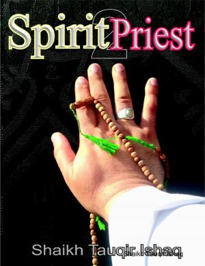 Cover of the book Spirit Priest 2, Ebook by George Barr Mccutcheon