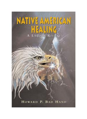 Book cover of Native American Healing