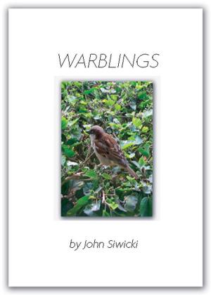 Cover of the book Warblings by Elena Vermeer