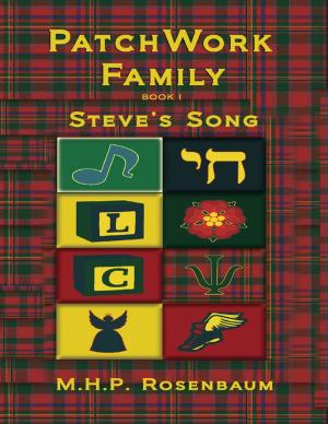 Book cover of Patchwork Family Book 1: Steve's Song