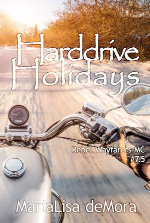 Cover of the book Harddrive Holidays by David Mack