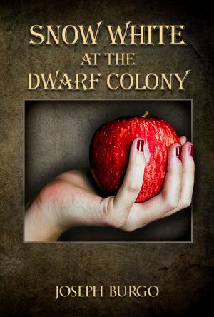 Cover of the book Snow White at the Dwarf Colony by Chanelle Nash