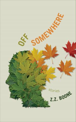 bigCover of the book Off Somewhere by 