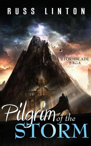 Cover of the book Pilgrim of the Storm by Katherine Bryant