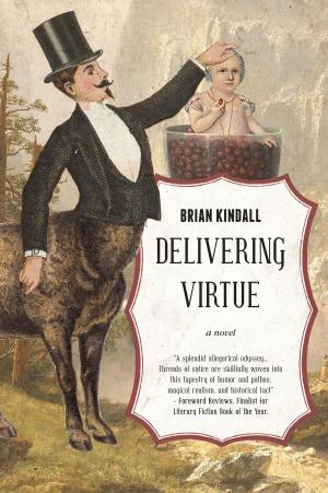 Cover of the book Delivering Virtue: A Dark Comedy Adventure of the West, The Epic of Didier Rain Book 1 by Lily Silver