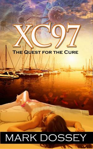 Cover of the book XC97: The Quest for the Cure by Anna Lee Huber