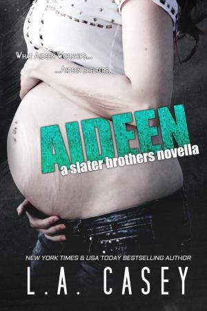 Book cover of Aideen