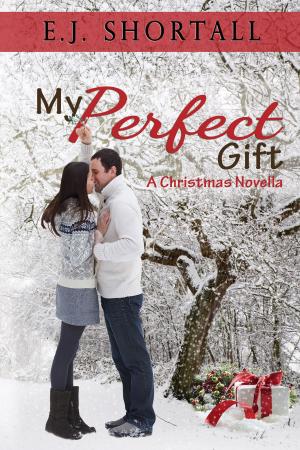Cover of the book My Perfect Gift: A Christmas Novella by E.S. Carter