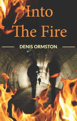 Cover of the book Into The Fire by Editor Ray French, Editor Kath McKay, Ray French, Kath McKay, Mandy Sutter, Brian W. Lavery, Moy McCrory, Steve Dearden, David Wheatley, Tiina Hautala