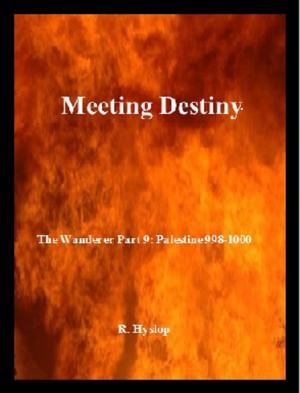 Cover of the book Meeting Destiny by Heather Snow