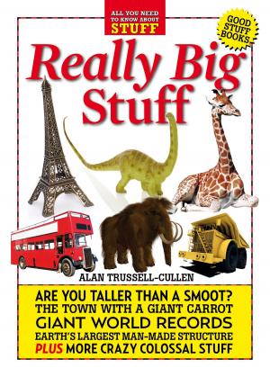 Cover of the book Really Big Stuff by Ethan Crownberry