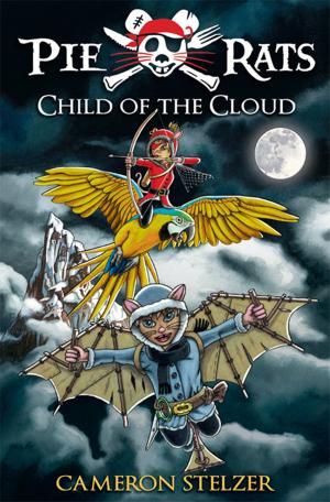 Cover of the book Child of the Cloud by Stu Jenks