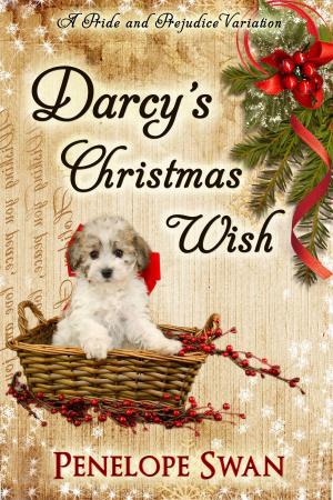Cover of Darcy's Christmas Wish: A Pride and Prejudice Variation