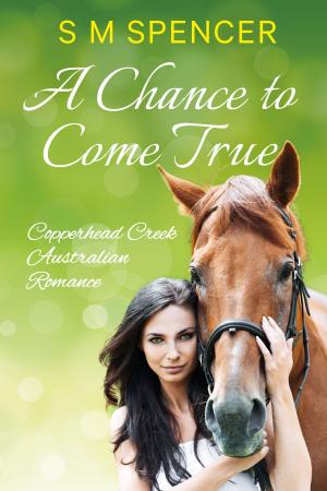 bigCover of the book A Chance to Come True by 