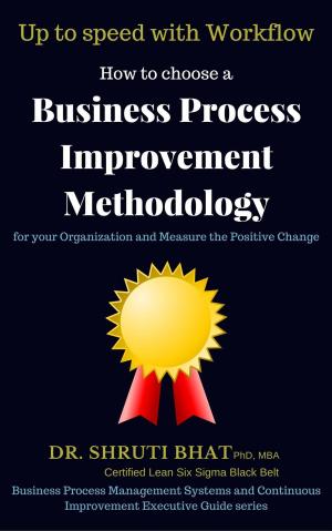 Book cover of How To Choose A Business Process Improvement Methodology For Your Organization And Measure The Positive Change- Up to speed with workflow