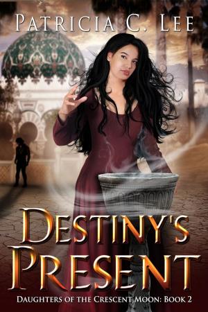 Cover of the book Destiny's Present by Annette Blair