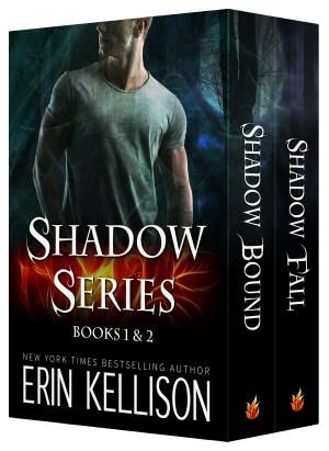 Cover of the book Shadow Series Boxed Set by Ann Lethbridge