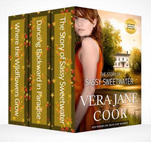 Book cover of Southern Fiction Box Set