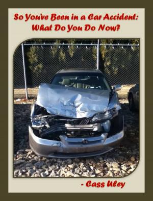 Cover of So You've Been in a Car Accident: What Do You Do Now?