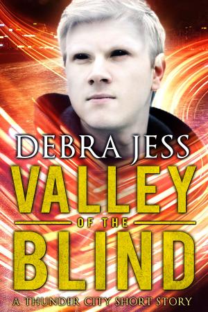 Book cover of Valley of the Blind